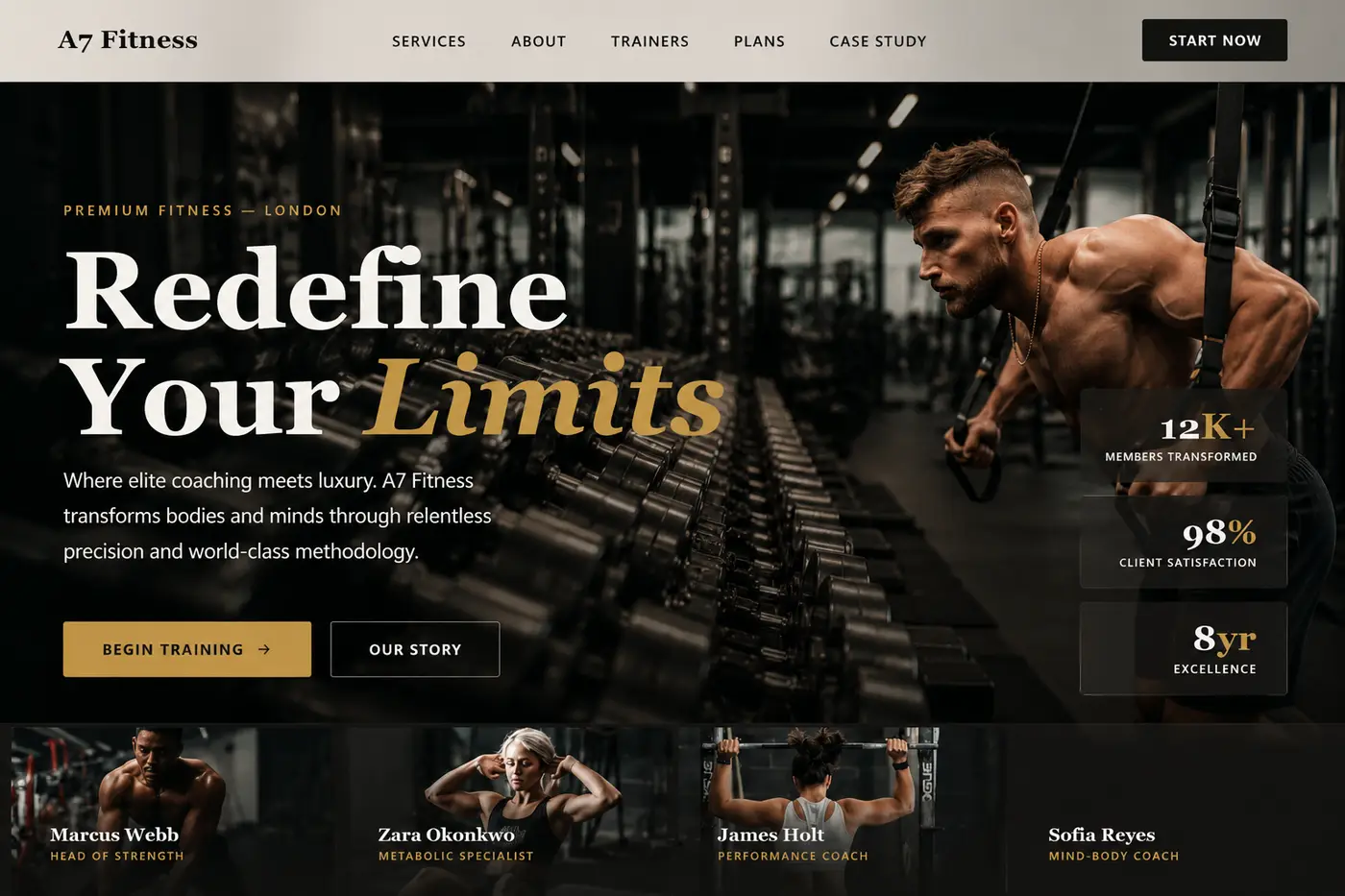 FitZone Gym Website website design gallery image 1